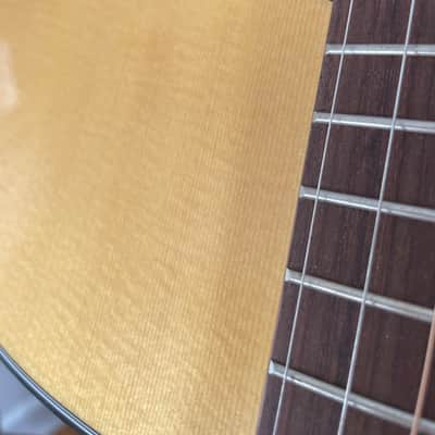Martin USA Steve Earle Signature M21 Guitar *Mint*  Alpine Spruce, Golden Era Bracing, 0000-21 Custo image 3