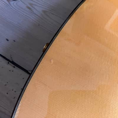 Cordoba 55FCE Thinline Electro Classical Acoustic Guitar Made in Spain 2006 image 8