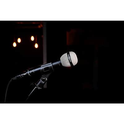 Beyer-Dynamic M 88 Dynamic Moving Coil Microphone (Hypercardioid), 730092 image 5