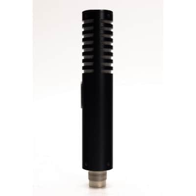 Royer R101 Ribbon Mic (Used) #1 image 5