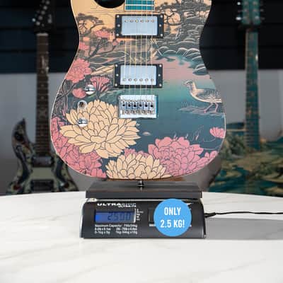 Lindo Left Handed Koya Electric Guitar | Composite Neck | Luminlays | Five Elements Kanji Fretboard Inlays in Maple and Abalone Sea Shell | Japanese Wilderness Art | Designed in Bristol, UK image 12