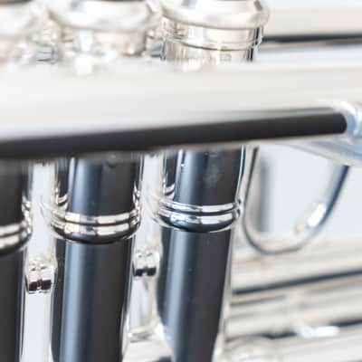 Bach 180S37 Stradivarius Bb Trumpet (2020, SN 7664xx) image 19