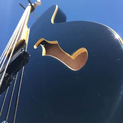 Schecter DIAMOND SERIES dUg Pinnick Baron-H Black Left-Handed 4-String Bass NOS image 9