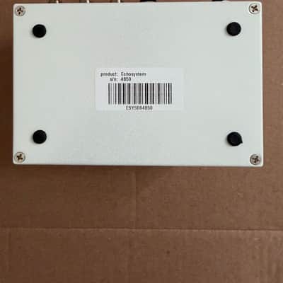 Empress Echosystem Dual Engine Delay 2010s - White image 4