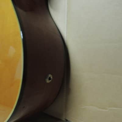 andalusia AG-6 G Guitare classique electro acoustique pan coupé Style Espagnole image 11