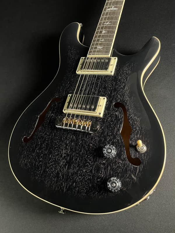 PRS SE Hollowbody Standard w/HSC - Dog Hair Smokeburst image 1