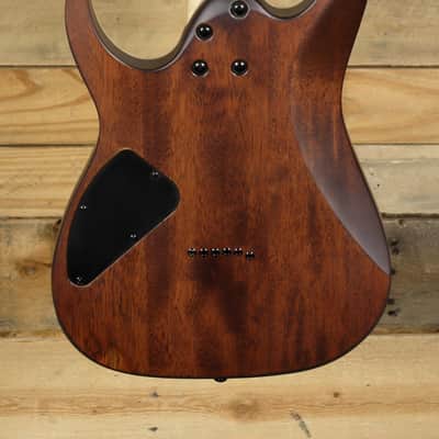 Ibanez RG RG421S Electric Guitar Sea Shore Matte image 3