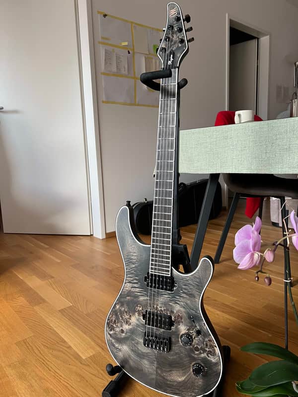Mayones Regius 6 image 1