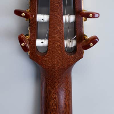 Takamine P3FCN Pro Series 3 FCN Cutaway Classical Nylon-String (2012) w/ OHSC image 11