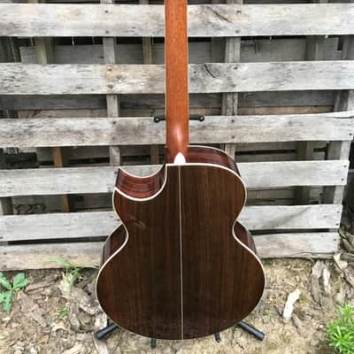 Taylor 955 12-string acoustic guitar image 5