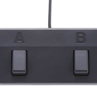 Boss ACS-PRO 120W Acoustic Guitar/Vocal Amplifier, Bi-Amp Combo image 5