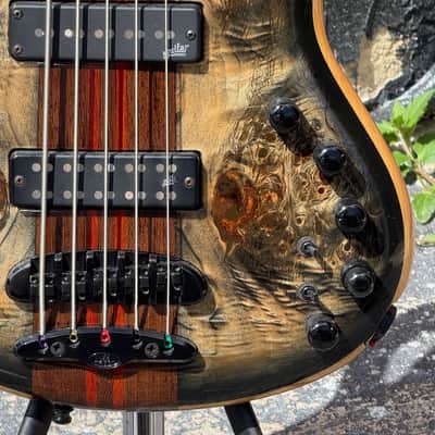 Mayones Caledonius 5 string Bass 2024 - stunning boutique bass & 1 of the coolest designs ever ! image 10
