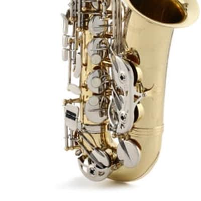 Selmer SAS301 Student Alto Saxophone - Lacquer image 2