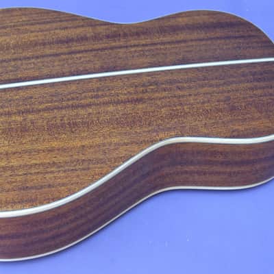 Bedell Performance Series OHN-18E-G Ac/El Nylon Parlor Guitar-GigBag- Rare Model image 12