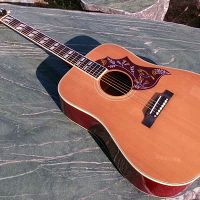 1975 Greco 202 Hummingbird Model MIJ by Fujigen Gakki image 20