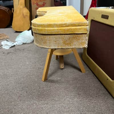 Fender Rare Vintage Poodle Case for Stratocaster or Telecaster image 3