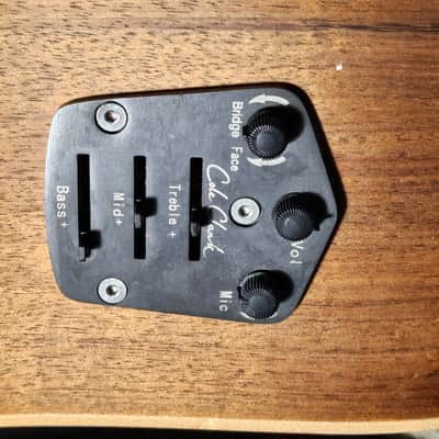Cole Clark Fat Lady FL2EC-RH-BLBL-Hum Blackwood Acoustic Electric Guitar Right-Handed w/ OHSC image 7
