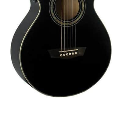Washburn EA10B-A Acoustic Guitar image 2
