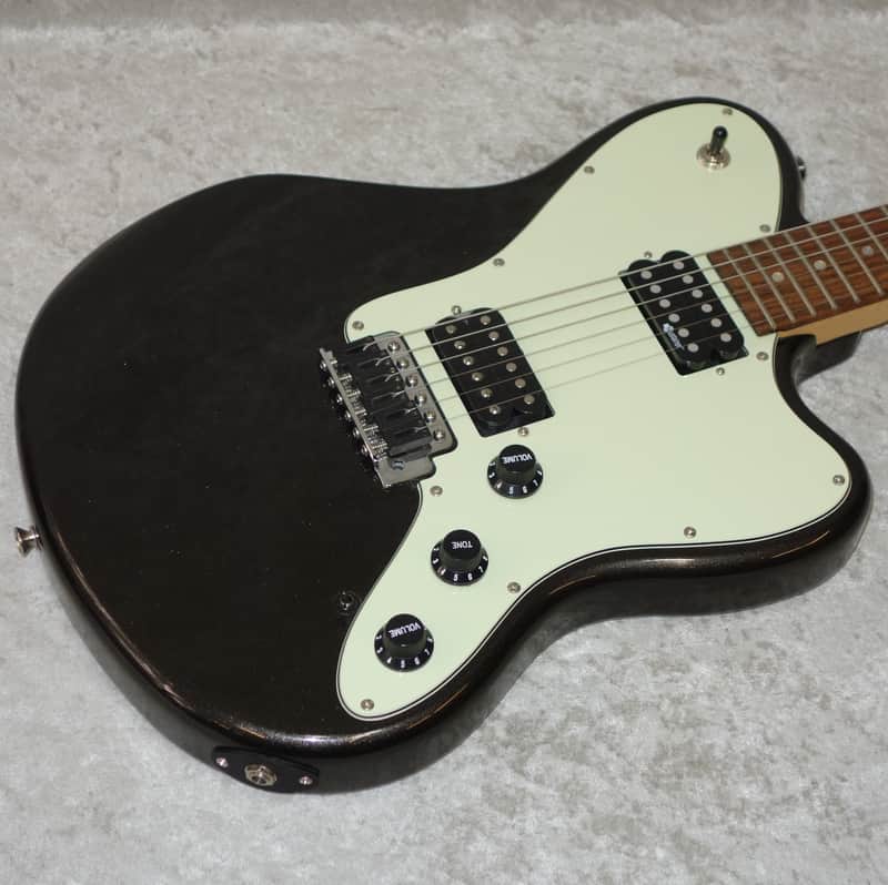 Fernandes Native Pro electric guitar with Sustainer pickup | Reverb