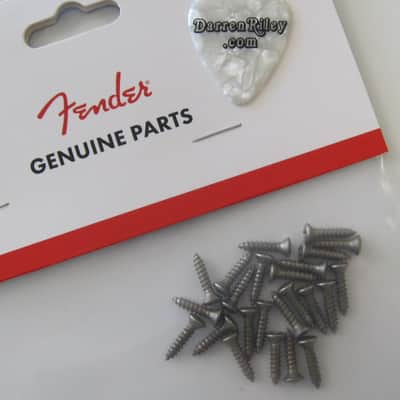 Fender Road Worn Aged Pickguard / Control Plate Screws 0997208000 image 1