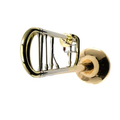 S.E. Shires Model Q30GA Q-Series Tenor Trombone SN 21599 image 15