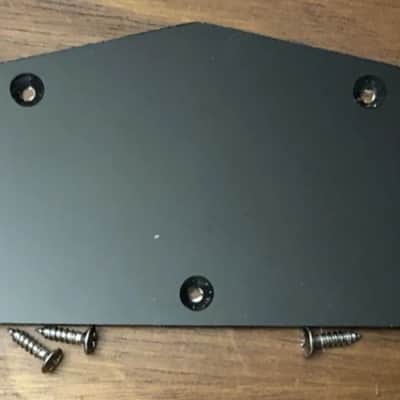 Share 2021 Epiphone Les Paul Special II Control Cavity Cover With Screws image 1