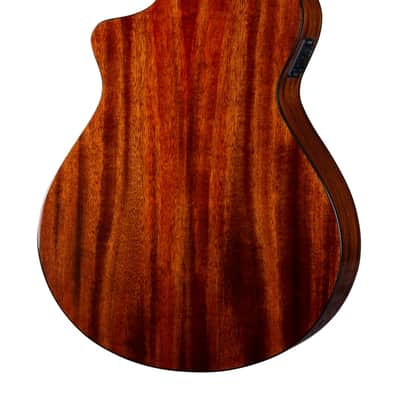 Breedlove Discovery S Concert CE - All Mahogany - Edgeburst image 4