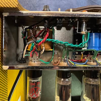 Tungsten Amplification - Buckwheat 112 Combo image 9