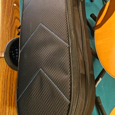 Reunion Blues RBX Double Electric Guitar Gig Bag image 1