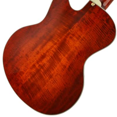 Eastman AR810CE image 2