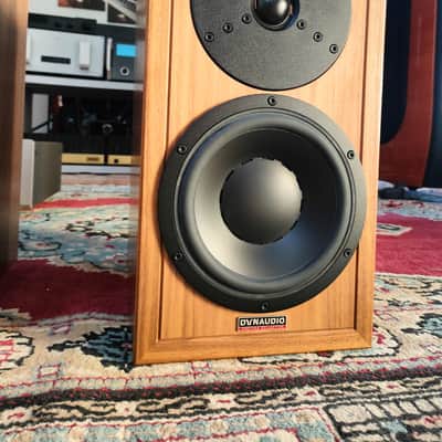 Dynaudio HERITAGE SPECIAL imagen 7