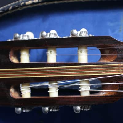 A Crestwood Solid Wood Classical Guitar in it's Original Case with Rosewood Back & Sides Solid Wood   12 G image 3
