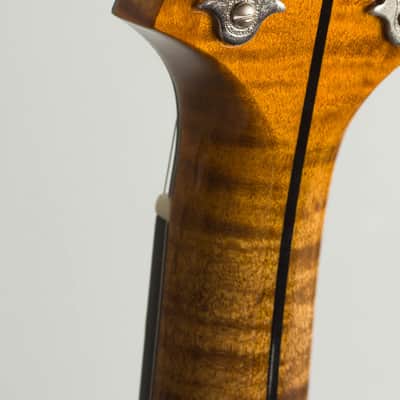 Northfield NFA-F5IE Carved Top Mandolin (2025), ser. #A250253, black tolex hard shell case. image 17