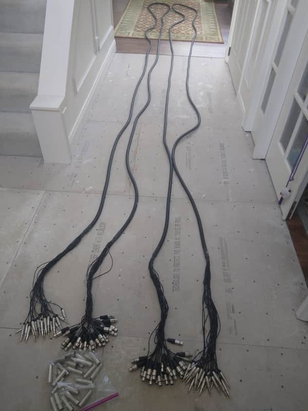 24 Channel Snake XLR to TRS 40' feet image 1