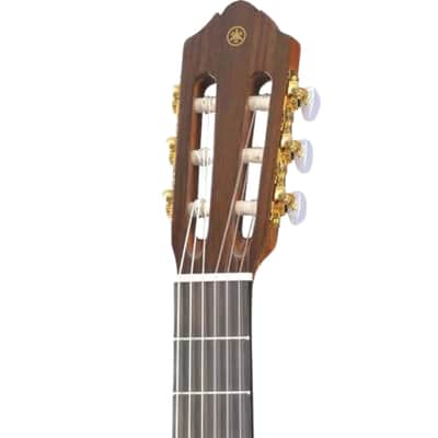 Yamaha Classical Guitar - Cedar Top image 3