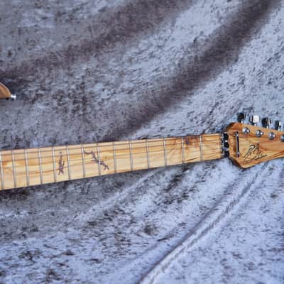 Immagine GB Liuteria Custom Boutique Ergal 6 string Fossil edition - 6