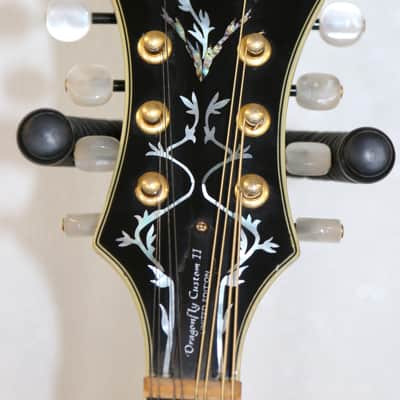 Michael Kelly Dragonfly Custom II Limited Edition Electric Mandolin LH W/Case image 7