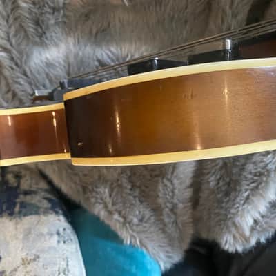 Hofner 500/1 Van Wouw Left Handed Bass 1961 - Sunburst image 22
