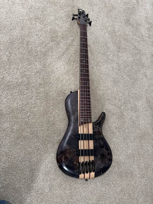 Ibanez SRSC805 Bass Workshop Singlecut Soundgear | Reverb