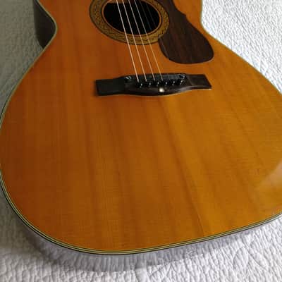 Ventura Bruno V-12 Acoustic Guitar Vintage - Made in Japan (See Video) image 2
