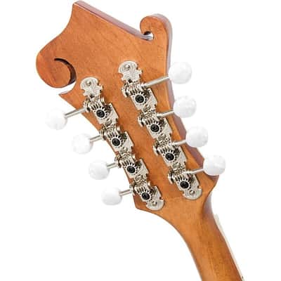 Epiphone MM-50E Professional Mandolin - Natural image 18