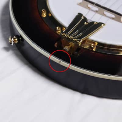 Gold Tone EBM-5 F-style electric 5-string Banjo w/ CASE - Planet Tuners -B-stock image 11