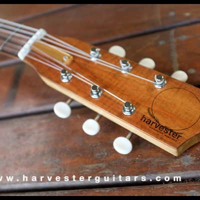 Harvester Lupine 2017 Shortscale image 8