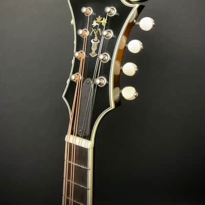 Bourgeois M5-F-SB F Style Mandolin - Sunburst image 7