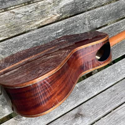 Lichty Custom 19" scale Tenor Ukulele 2022 image 10