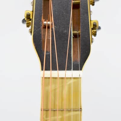 Stromberg Voisinet Hawaiian Theme Parlor Guitar image 3