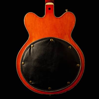 Gretsch 6120 Chet Atkins 1969 image 3