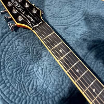 Hamer Newport 2001 image 3