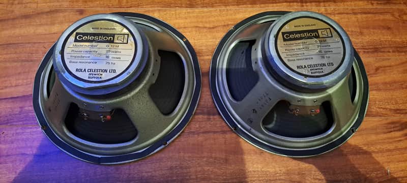 Celestion G 12M 25 watt T2168 Matched pair Muller cones 1976 image 1