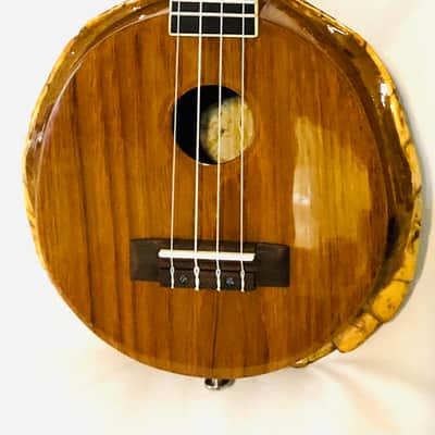 Turtle Shell Concert Ukulele image 9